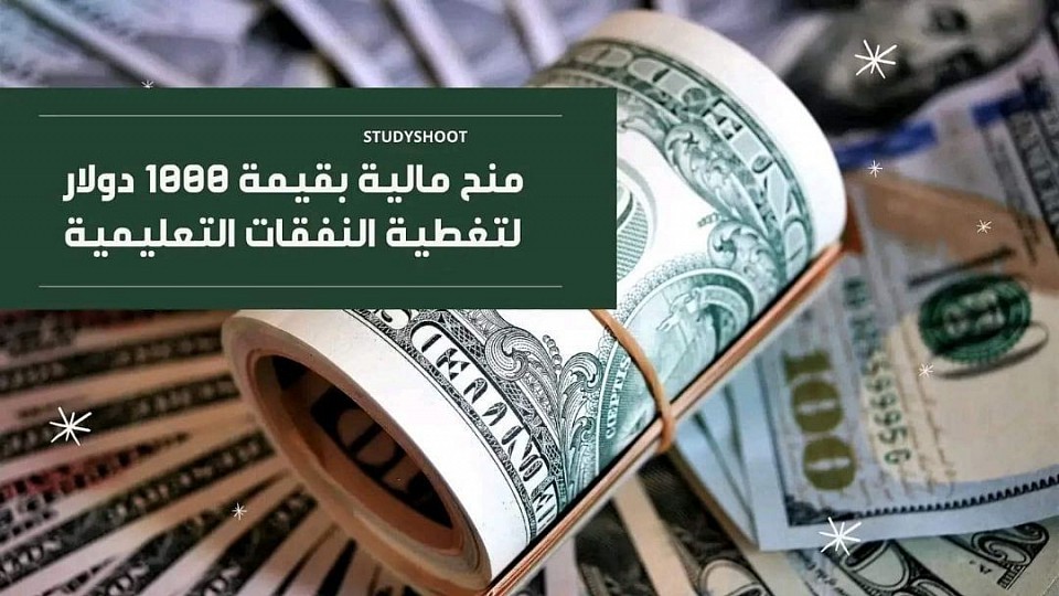 تقديم مساعدات مالية